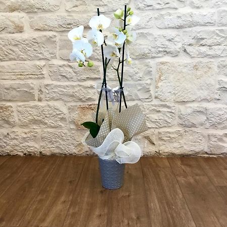 B&B Sant'Agostino Giovinazzo Exterior photo